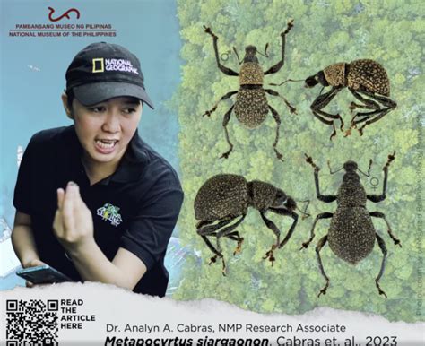 Studies on new beetle species in PH published decades after discovery.